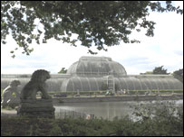 The Palm House at Kew Gardens
