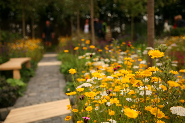 A garden at Tatton Park