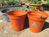 Ruth Brooks and her grandson.