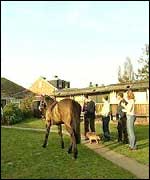 Andrew and Ian Shipley's back garden