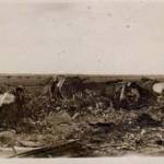 Crashed Stirling at Lydda