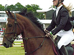 Horses and riders competing at the Royal Highland Show