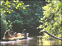 Ảnh của Bruno Pambour