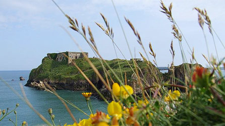 Tenby, Castle Beach by Ceridwen Mardon