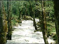 Krajina