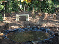 The finished garden