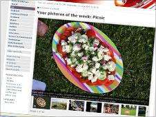 Your pictures of picnics