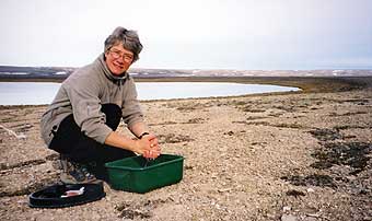 Sue Armstrong in the Arctic