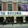 The Mayflower