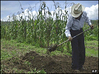 Agricultor no Brasil
