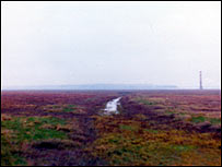 Grassy sand banks with old track