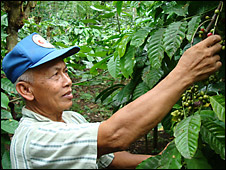 Pak Kusni, Indonesian coffee farmer