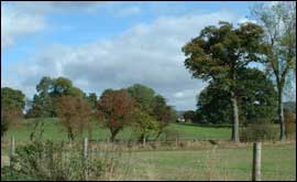 View across field in Newbury