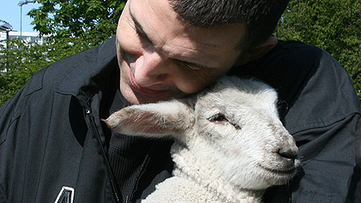 Local Hero Day 3 - helping out on a farm