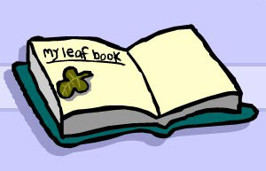 Leaf book for collecting leaves