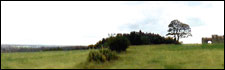 The Lickey Hills Country Park