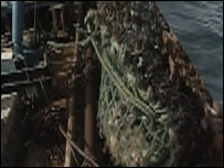 Fishing for scallops of Lyme Bay
