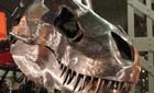 A steel working replica of a T. rex head