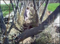 جوی پاکی و ماين 