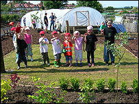 Mexborough Allotment, June 2008