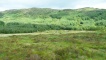 The patchwork of trees in the forestry was designed by a forest architect