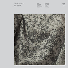 Review of The New Life