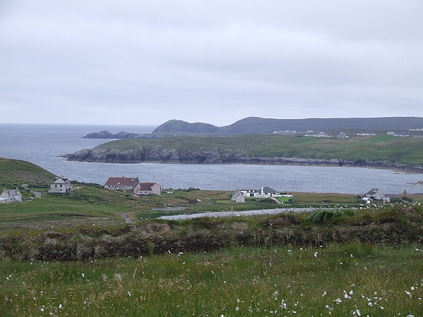 Local Area