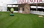 The Cricket Pitch