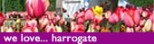 We love Harrogate