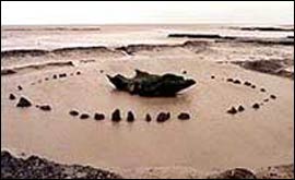 Picture: Seahenge