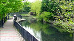 Camlas Pontardawe