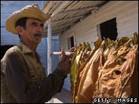 Fumicultor cubano