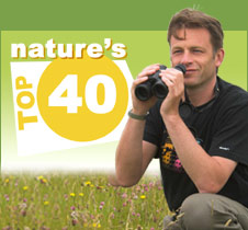 Contact Nature's Top 40