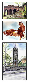 montage of Alan's work