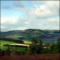 Highland hills in the Gannochy Estate