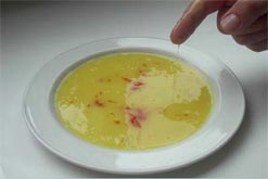 yellow, slimey liquid in dish