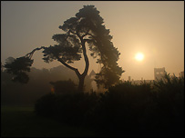 Newstead Abbey at dawn. Photo by Debbie Davies