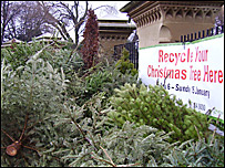 Christmas tree collection point in Manchester