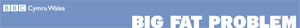 Big fat problem quiz
