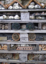 Wildlife tower