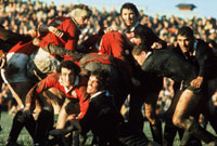 Gareth Edwards a'r Llewod