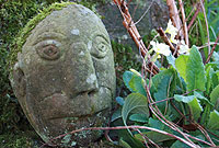 Pen carreg yn Henblas, Ynys Môn