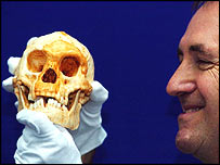 छोटे मानव की खोपड़ी