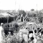 Neighbours watching the German bombers overhead from the gardens of Alexander Road, Luton, (near Chatham,) Kent - c. 1940.