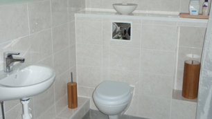 Liz Carr's new bathroom