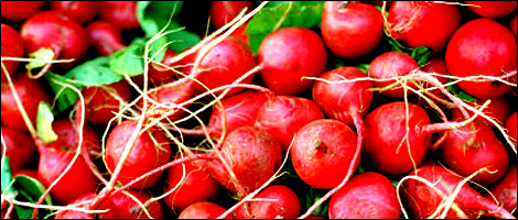 Radishes