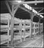 Bunks for prisoners to sleep on (3 to a bed)