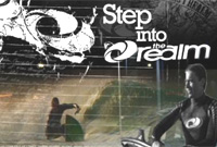 step into the realm - tim davies