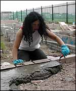 Gail smoothing cement