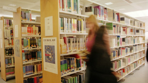 university